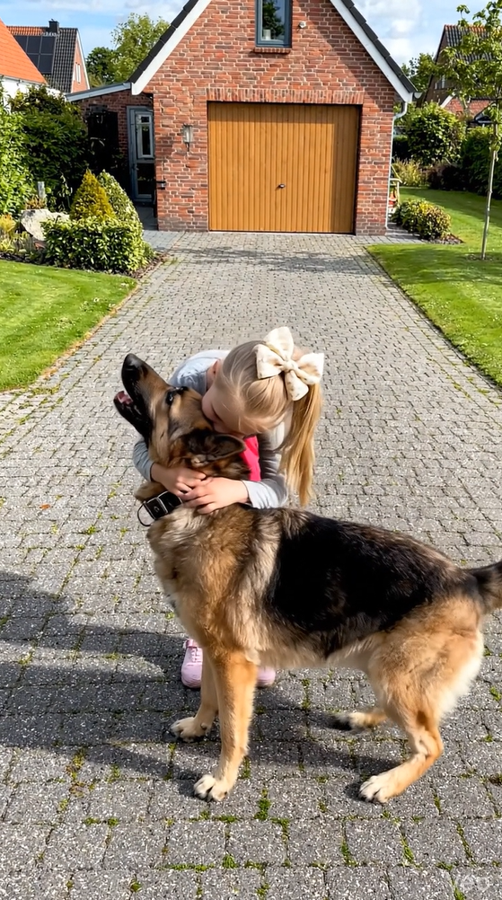 “Din hund angreb mit barn!” — en kvindes skingre skrig lød, og da jeg så overvågningskameraets optagelse, så jeg noget forfærdeligt.