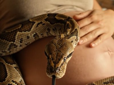 En gravid kvinde sov ved siden af ​​sin kæmpestore kæledyrsslange hver nat, og slangen snoede sig altid om hendes mave og bevægede sig aldrig en tomme væk fra hende: men under et rutinemæssigt lægetjek bemærkede lægen noget mærkeligt på ultralydsscanningen og tabte næsten maskinen i rædsel.