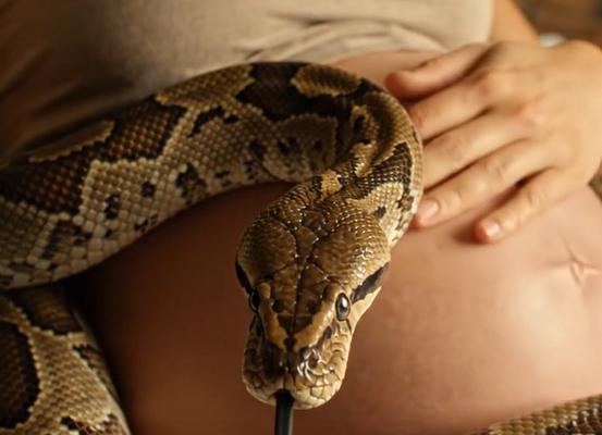 En gravid kvinde sov ved siden af ​​sin kæmpestore kæledyrsslange hver nat, og slangen snoede sig altid om hendes mave og bevægede sig aldrig en tomme væk fra hende: men under et rutinemæssigt lægetjek bemærkede lægen noget mærkeligt på ultralydsscanningen og tabte næsten maskinen i rædsel.